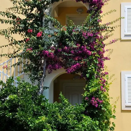 Apartment Maria Necujam